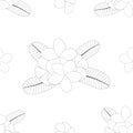 Plumeria, Frangipani on White Background. Vector Illustration.