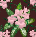 Plumeria seamless pattern