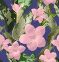 Plumeria seamless pattern