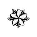 Plumeria Royalty Free Stock Photo