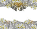 Plumeria wedding bells and satin ribbons borders Royalty Free Stock Photo