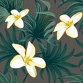 Plumeriia. Tropical palm leaves, jungle leaves seamless vector floral pattern background