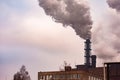 plumes of smoke from the pipes of the metallurgical plant.