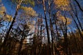 Plummer iron mine headframe structure in pence wi Royalty Free Stock Photo