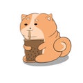 A plump cat sits and drinks soda from a glass