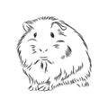 Plump cute Guinea pig, sketch vector graphics black and white drawing Royalty Free Stock Photo