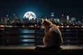 a fat cat sitting on a fence looking at the moon