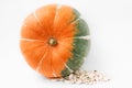 Plump pumpkin on the side with seeds CloseUp