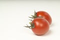 Plump tomatoes Royalty Free Stock Photo