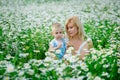 A plump woman and a small one-year-old boy in a field of daisies. A mother has fun with her son in a blooming field of chamomile