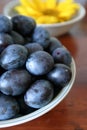 Plums Royalty Free Stock Photo