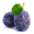 Plums