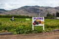 PLUMS agriculture sign, Okanagan Valley