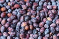 Plums background Royalty Free Stock Photo