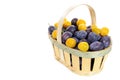 Plums basket isolated Royalty Free Stock Photo