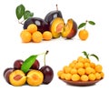 Plums and cherry plums isolated Royalty Free Stock Photo