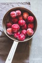 Plums of different varieties in an old metal colander on gray concrete background