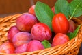 Plums Royalty Free Stock Photo