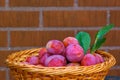 Plums Royalty Free Stock Photo