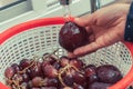 Plums and Grapes being washed in a kitchen sink