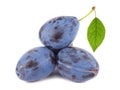 Plums with green leaf Royalty Free Stock Photo