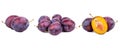 Plums isolate set Royalty Free Stock Photo