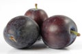 Plums isolated