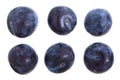 Plums isolated on a white background. Top view. Flat lay pattern. Set or collection Royalty Free Stock Photo