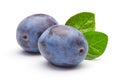 plums with leaves isolated on white background.