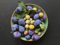 plums and mirabelles on a turquoise ceramic plate on the black background.
