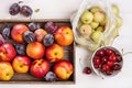 Plums, nectarines, cherries. Royalty Free Stock Photo