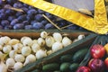 Harvest. Plums, onions, cucumbers and apples Royalty Free Stock Photo