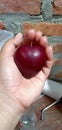 Plums with a perfect heart shape are so pretty.