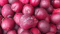 Plums see not one and many plums. Royalty Free Stock Photo