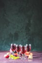 Plums strong alcoholic drink in shots. Hard liquor, slivovica, plum brandy or plum vodka with ripe plums Royalty Free Stock Photo