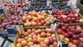 Plums in various colors on market