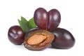 Plums on white background Royalty Free Stock Photo