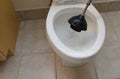 Plunging toilet