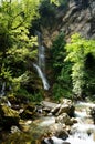 Plunging Waterfall in Chinese Shennongjia Forestry District Royalty Free Stock Photo