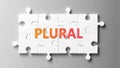 Plural complex like a puzzle - pictured as word Plural on a puzzle pieces to show that Plural can be difficult and needs