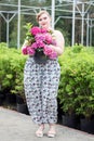 Plus size Girl keeps pot with blooming plant in greenhouse