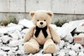 plush bear sitting on rubble in urban environment Royalty Free Stock Photo