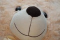 Plush bear smile close-up.