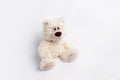 Plush bear white, on a white background, place for text