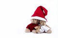 Plush bears wearing Santa hat
