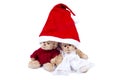 Plush bears wearing Santa hat