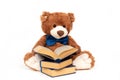 Plush brown bear reading book, back to school