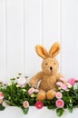 Plush bunny sitting in pink daisy flowers for easter decoration.