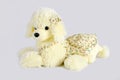 Plush dog toys