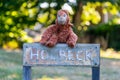 Plush gorilla toy on Holbeck street sign, Bracknell, Berkshire